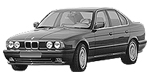 BMW E34 P3956 Fault Code